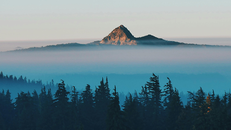 外用药细分龙头6163银河制药登陆A股，打造“药箱”IP矩阵高筑护城河